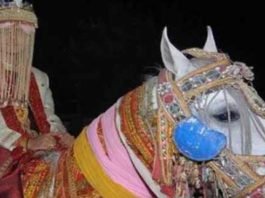 dalit-groom